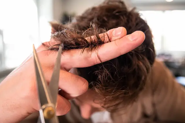 Stylist cutting curly hair with scissors