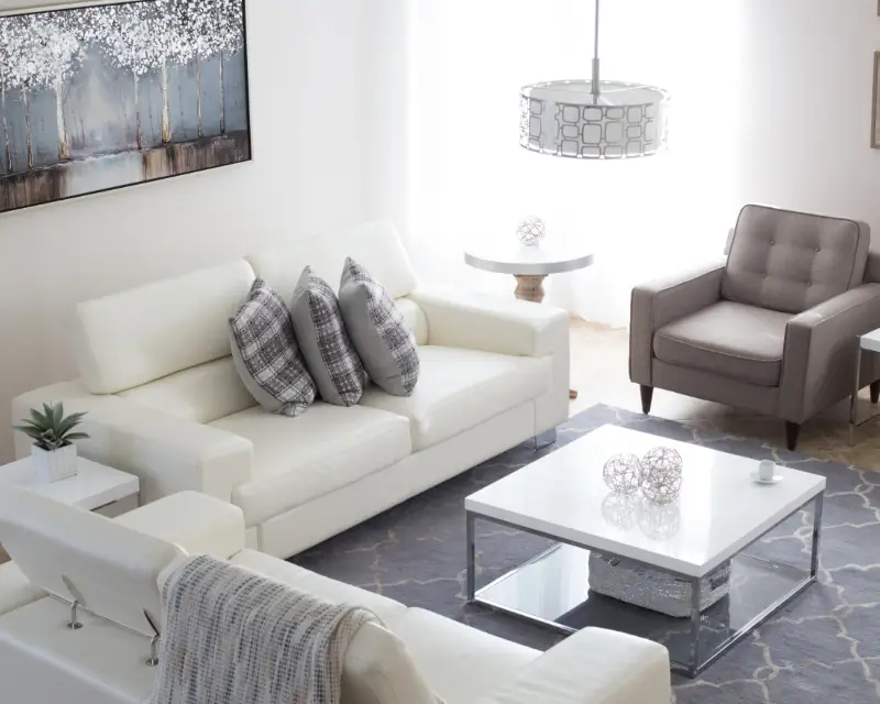 Bright living room with a gray area rug and white sofas