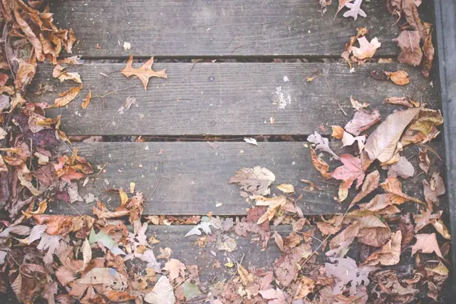 Weathered deck boards covered in autumn leaves