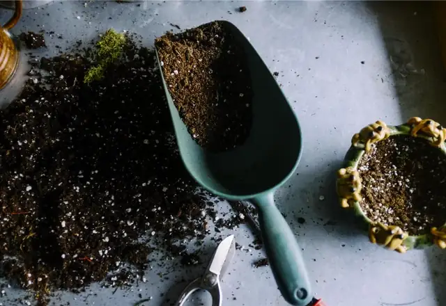 Garden trowel in fresh dark soil