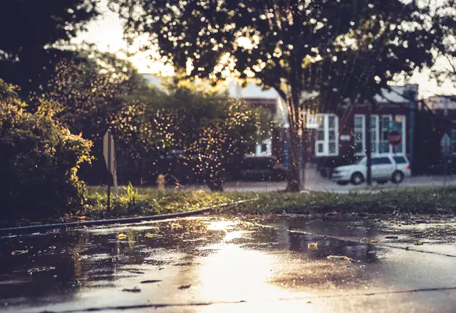 House with a wet green lawn after rain