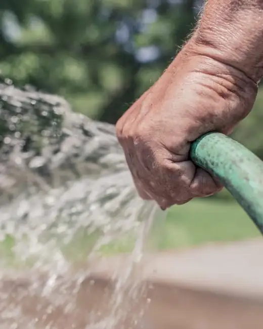 Hands watering plants with a garden hose