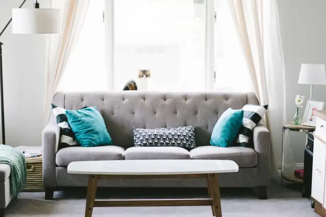 Gray sofa in a bright living room
