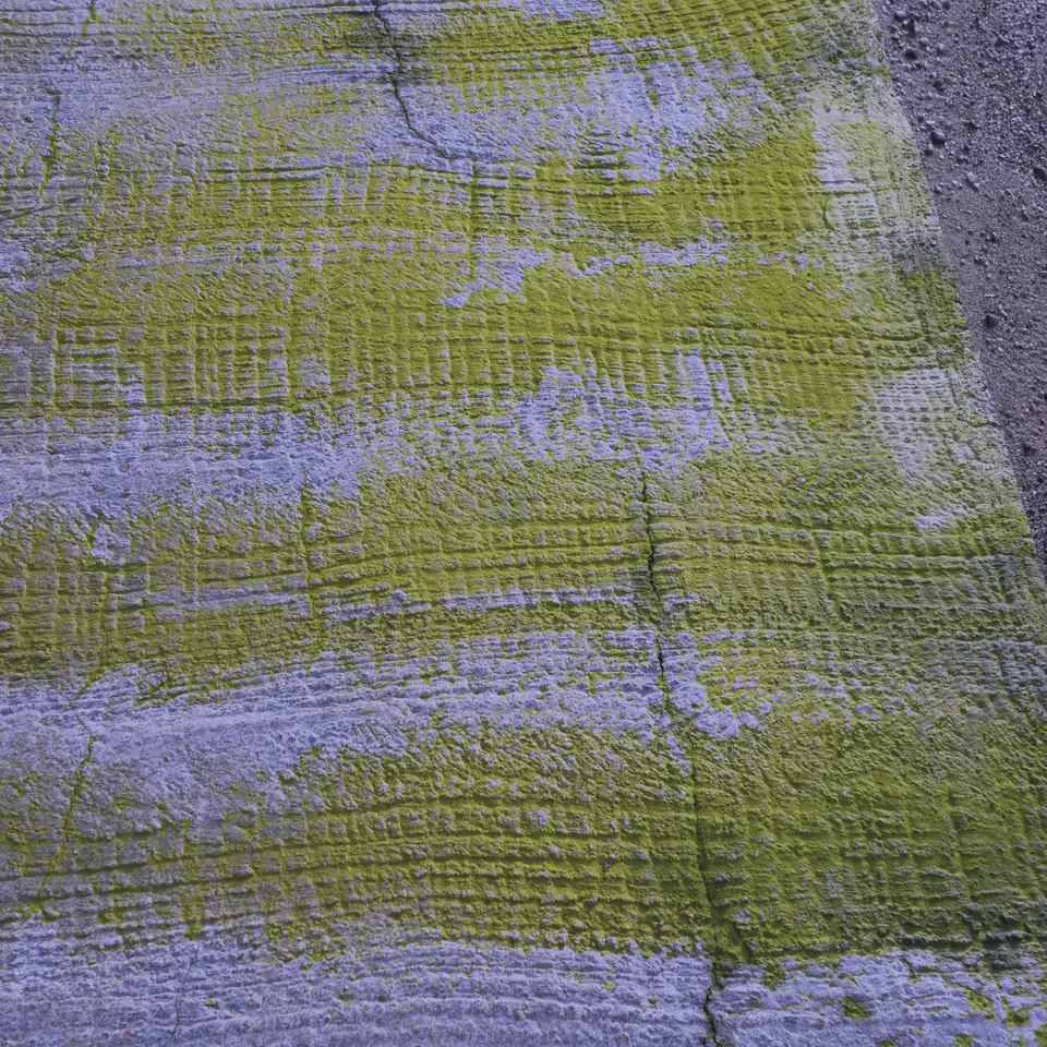 Close-up of green algae dried onto concrete