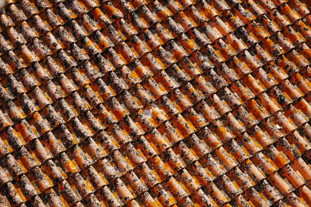 Close-up of terracotta roof tiles