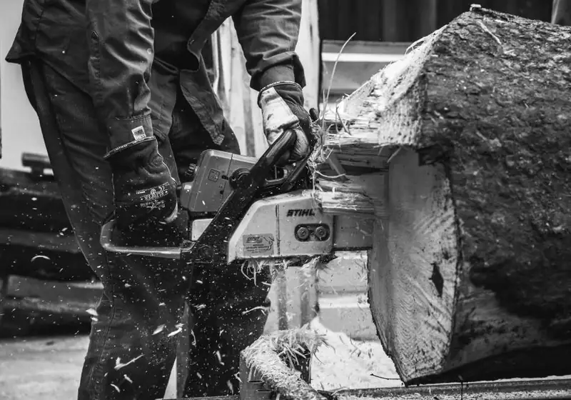Chainsaw cutting through a large log