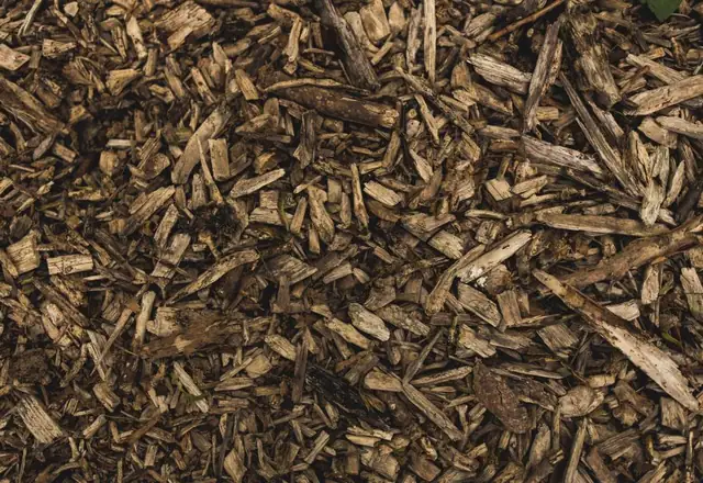 Pile of fresh wood chips