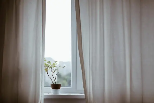 Bright window with sheer curtains and a plant